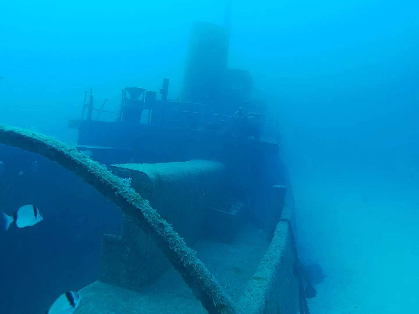 Tug Boat Rozi - Cirkewwa - CertiDive | Your Passport To Underwater ...